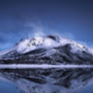 Meet your Posher, Tanner